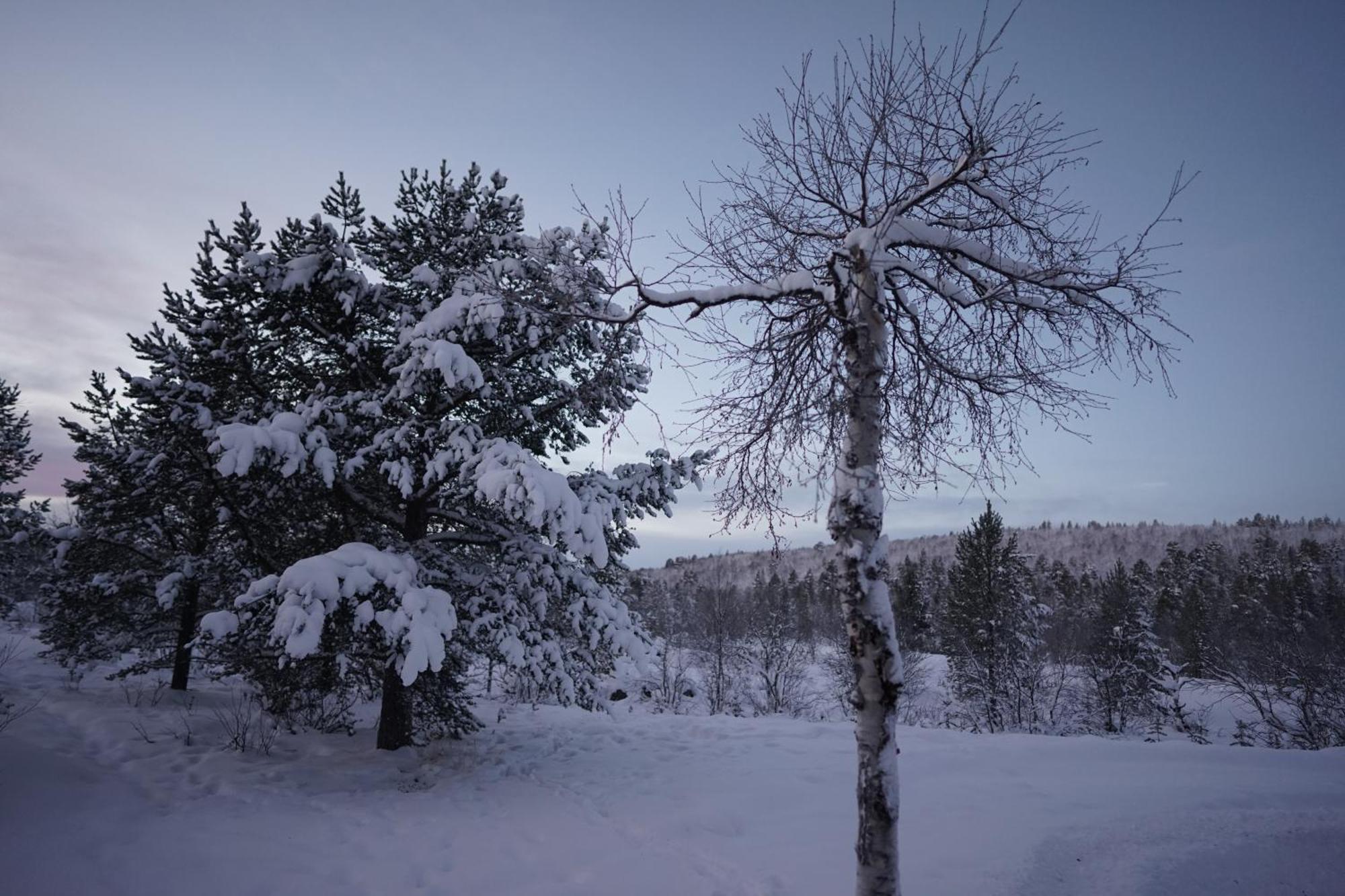 Muotkan Ruoktu Tunturikyla Enare Exteriör bild